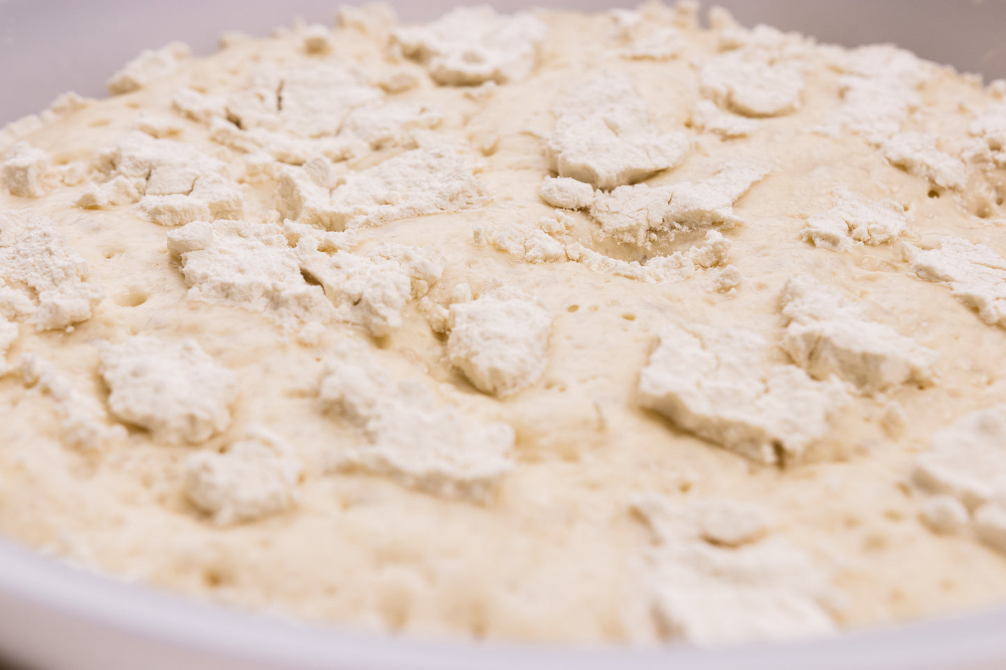 Bułka Tradycyjna 100g